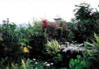 Nirarta Gardens