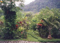 Nirarta Living Awareness Centre Gardens